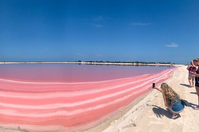 Full day tour to Rio Lagartos and Las Coloradas from Riviera Maya - What We Liked About the Tour