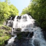 Full Day Waterfalls Tour in North Georgia with Scenic Hikes - Practical Details and What You Should Know