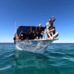 Full-Day Whale Shark Snorkeling Adventure with Beach Lunch - Authentic Insights from Reviews