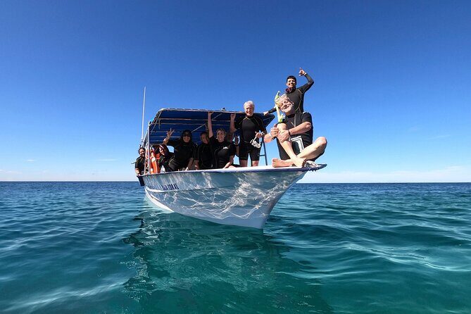 Full-Day Whale Shark Snorkeling Adventure with Beach Lunch - Authentic Insights from Reviews