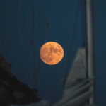 Full Moon Magic  2h Night Sailing in Sotogrande - The Visuals: Sunsets, Moonlight, and Marine Magic