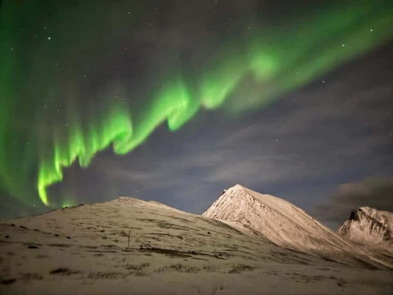 Full Night Magic of the Northern Lights in Tromso - Who Should Book This Tour?