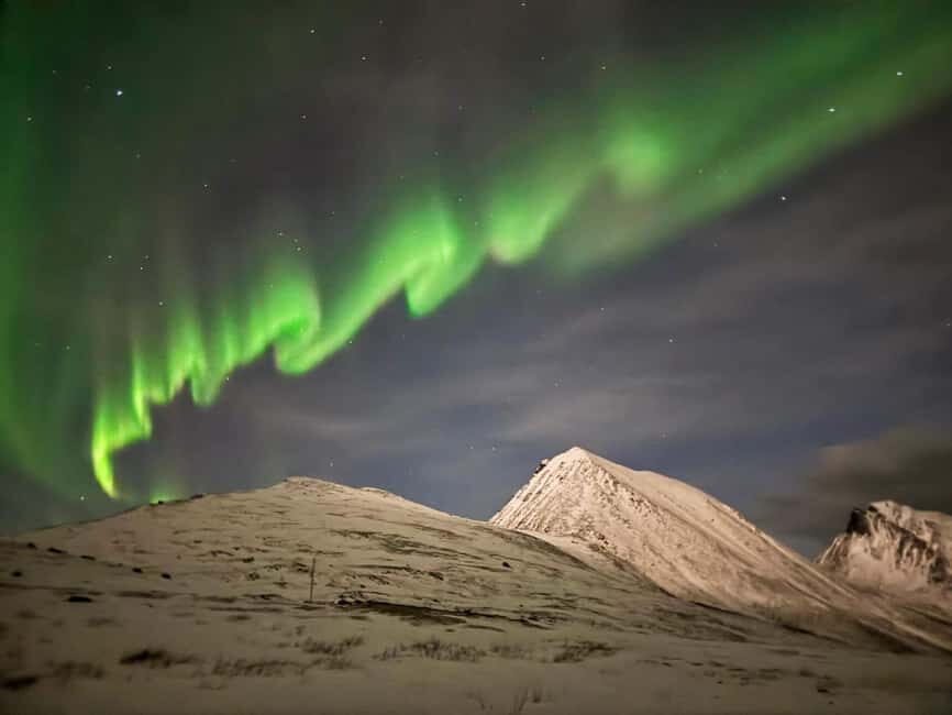 Full Night Magic of the Northern Lights in Tromso - Who Should Book This Tour?