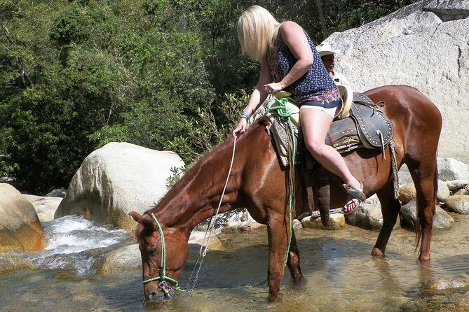 Fun Horseback Tour in Mismaloya - An In-Depth Look at the Mismaloya Horseback Tour