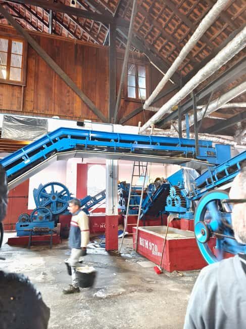 Funchal Agriculture Green Tour - Why This Tour Works Well