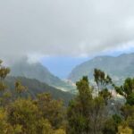 Funchal: Bica da Cana to Encumeada Guided Hike with Pickup - Exploring Madeira’s Natural Beauty: A Deep Dive
