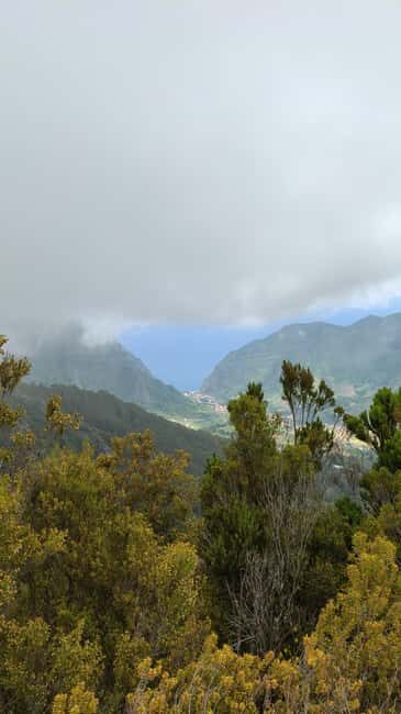 Funchal: Bica da Cana to Encumeada Guided Hike with Pickup - Exploring Madeira’s Natural Beauty: A Deep Dive
