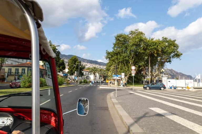 Funchal: Botanical Garden & Old Town Tour by TukTuk (1h45) - Authentic Insights from Reviews