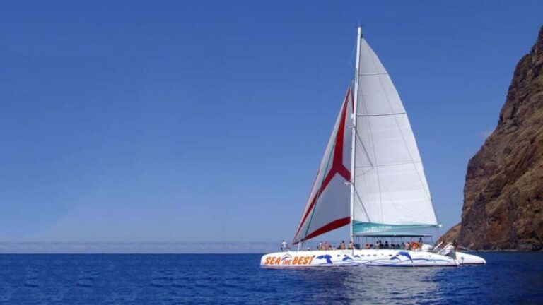 Funchal: Dolphin and Whale-watching Catamaran Tour - Who Is This Tour Best For?