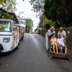 Funchal: Guided Tuk Tuk Tour to Toboggan Rides & Old Town - Exploring Funchal by Tuk Tuk: A Unique Way to See the City