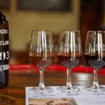 Funchal: H.M. Borges Winery Private Tour and Wine Tasting - The Art and Science of Madeira Wine
