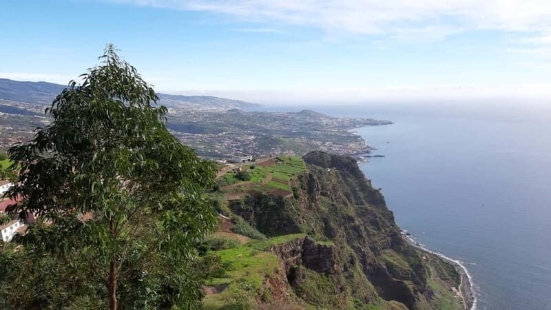 Funchal: Half-Day South Madeira Island Private Tour - What You’ll Love About This Tour