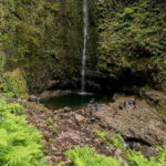 Funchal: Levada Caldeirão Verde Waterfalls and Forests Hike - Authentic Insights from Reviewers