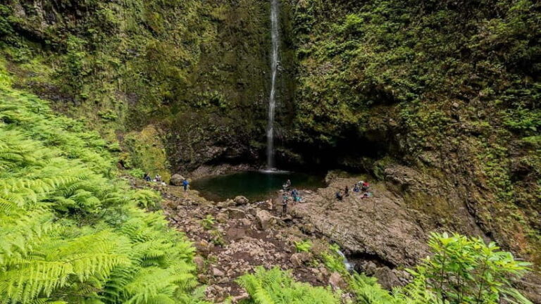 Funchal: Levada Caldeirão Verde Waterfalls and Forests Hike - Authentic Insights from Reviewers