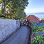 Funchal: Private Cable Car, Toboggan, and Skywalk Tour - A Deep Dive into the Experience
