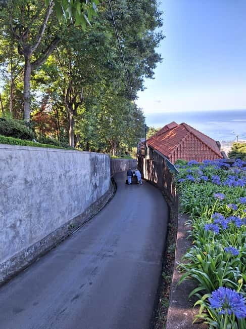 Funchal: Private Cable Car, Toboggan, and Skywalk Tour - A Deep Dive into the Experience