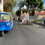 Funchal: Toboggan and Old Town Experience with Tukway - What Makes This Tour Special?