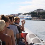 Funchal: Whale Watching and Swimming with Dolphins Cruise - Good To Know
