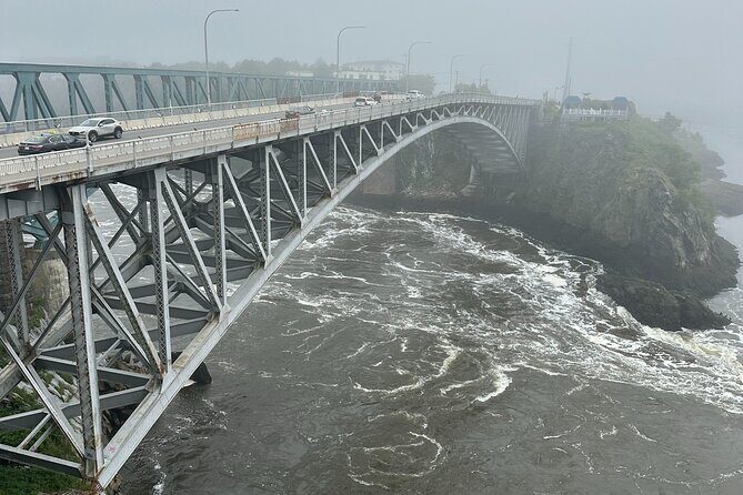 Fundy Shore Tour By Bus - Who Should Consider This Tour?