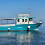 Funtana: Dolphin safari, drinks included - The Itinerary in Detail