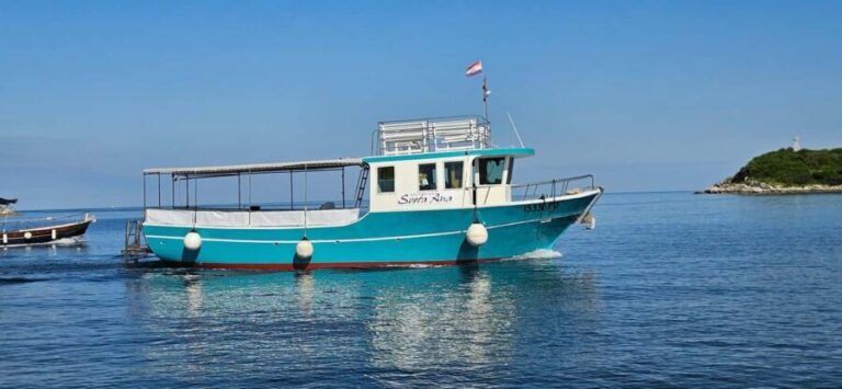 Funtana: Dolphin safari, drinks included - The Itinerary in Detail