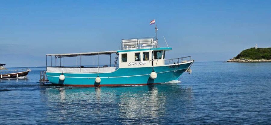Funtana: Dolphin safari, drinks included - The Itinerary in Detail