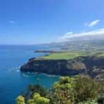 Furnas: Tea Plantation and Hot springs Tour - Who Will Love This Tour?