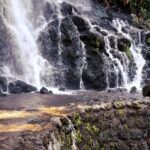 Furnas Volcano Wonders, Tea Plantation & Waterfall Tour - The Practicalities and Value