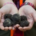 Gaon - Istria: Truffle Hunting & Cooking & Tasting - Who Would Enjoy This Tour?