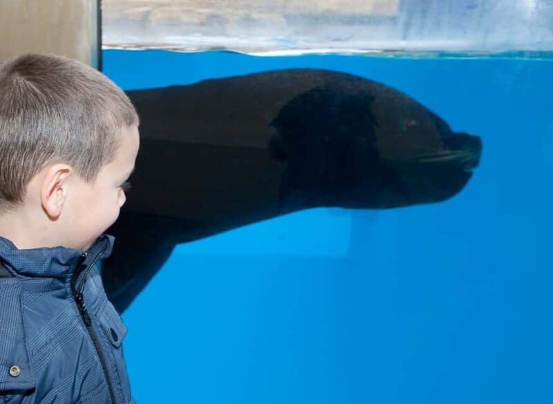 Gardaland SEA LIFE Aquarium: Open Date Entry Ticket - Authentic Experiences from Visitors