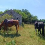 Gargano National Park: horseback riding - What’s Included and What’s Not