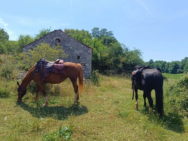 Gargano National Park: horseback riding - What’s Included and What’s Not