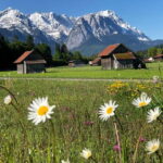 Garmisch-Partenkirchen: Proposal with Photographer & Dinner - Unpacking the Experience: What You Can Expect