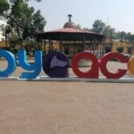 Gastronomic experience in Coyoacán - Why This Tour Works Well