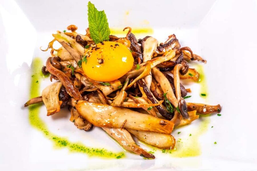 GASTRONOMIC MUSHROOM EXPERIENCE. Tour not included - Who Will Love This Experience?
