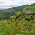 Gastronomy tour with tastings - small groups - What’s Included and What to Expect