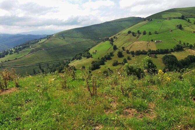 Gastronomy tour with tastings - small groups - What’s Included and What to Expect