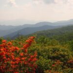 Gatlinburg: Smoky Mountain Appalachian Bald Guided Hike - The Sum Up