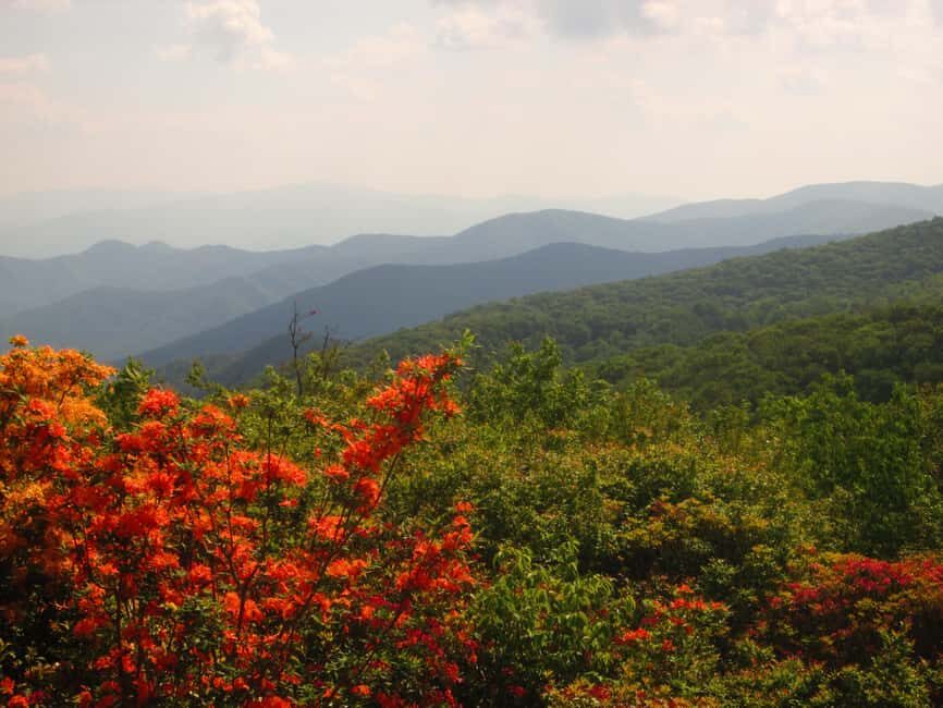Gatlinburg: Smoky Mountain Appalachian Bald Guided Hike - The Sum Up