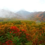 Gatlinburg: Smoky Mountains Fall Foliage Guided Tour - The Itinerary – What to Expect on Your Trip