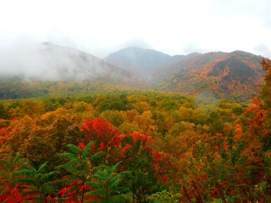 Gatlinburg: Smoky Mountains Fall Foliage Guided Tour - The Itinerary – What to Expect on Your Trip
