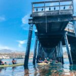 Gaviota Coast Near Santa Barbara: Kayak Tour (3.5 Hours) - The Value of This Coastal Kayak Tour