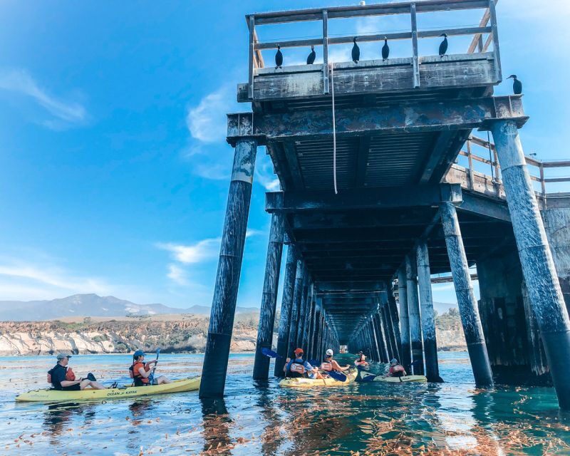 Gaviota Coast Near Santa Barbara: Kayak Tour (3.5 Hours) - The Value of This Coastal Kayak Tour