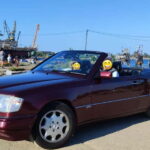 Gdask: City of Freedom - Local Guided Cabrio Tour - The Practicalities