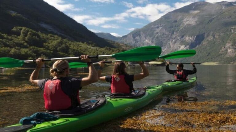 Geiranger Fjord: Single Kayak Rental - The Paddling Experience: What You Can Expect