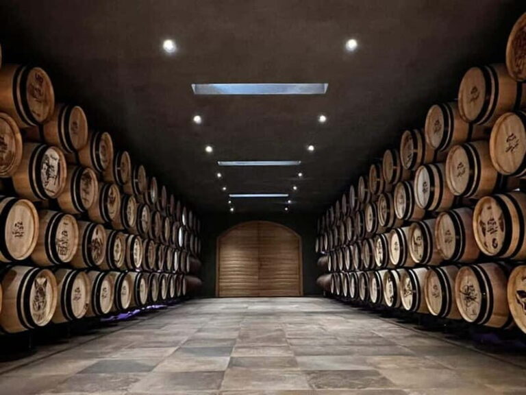 Geneva Countryside, Wine Tasting, Aperitif, Castle By E-bike - The Castle and Wine Tasting Experience