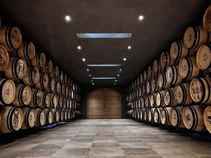 Geneva Countryside, Wine Tasting, Aperitif, Castle By E-bike - The Castle and Wine Tasting Experience