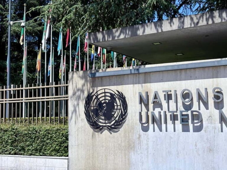 Geneva guided tour: capital of peace with the UN ( Outside ) - Practical Details and Value