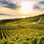 Geneva: Montreux, Chaplins World, Chillon Castle & Apéritif - Exploring Each Stop in Detail