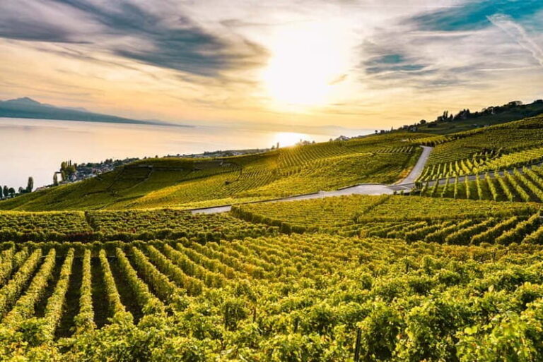 Geneva: Montreux, Chaplins World, Chillon Castle & Apéritif - Exploring Each Stop in Detail